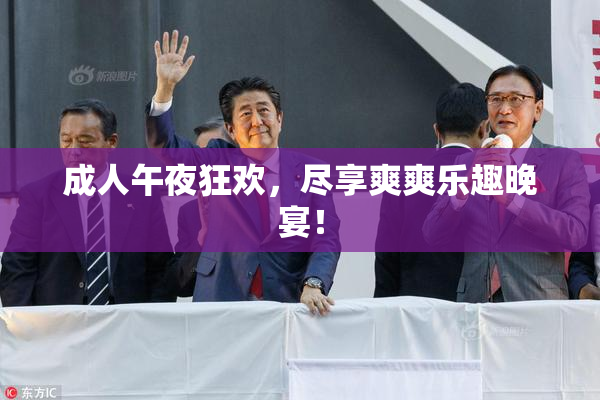 成人午夜狂欢，尽享爽爽乐趣晚宴！