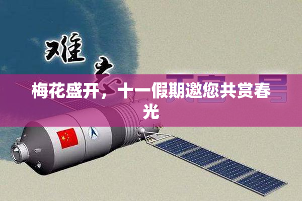 梅花盛开，十一假期邀您共赏春光