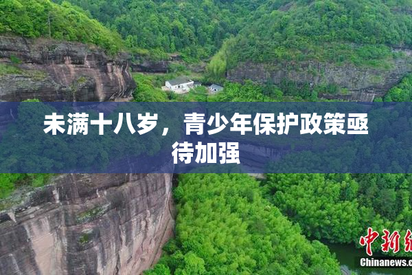 未满十八岁，青少年保护政策亟待加强