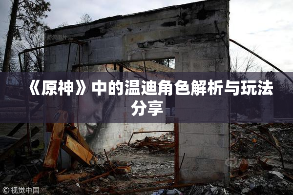 《原神》中的温迪角色解析与玩法分享
