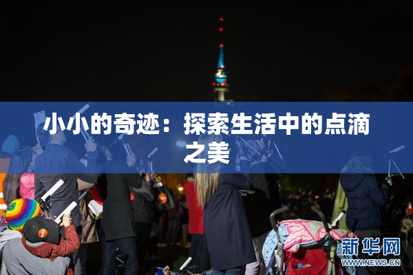 小小的奇迹：探索生活中的点滴之美