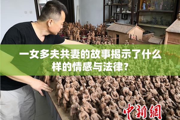 一女多夫共妻的故事揭示了什么样的情感与法律？