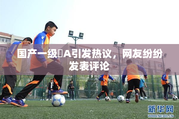 国产一级婬A引发热议，网友纷纷发表评论