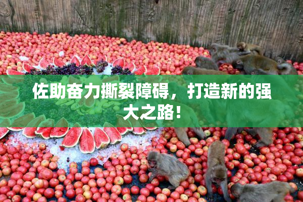 佐助奋力撕裂障碍，打造新的强大之路！