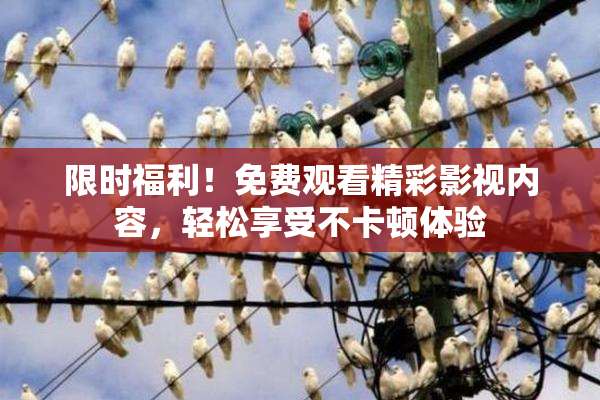 限时福利！免费观看精彩影视内容，轻松享受不卡顿体验