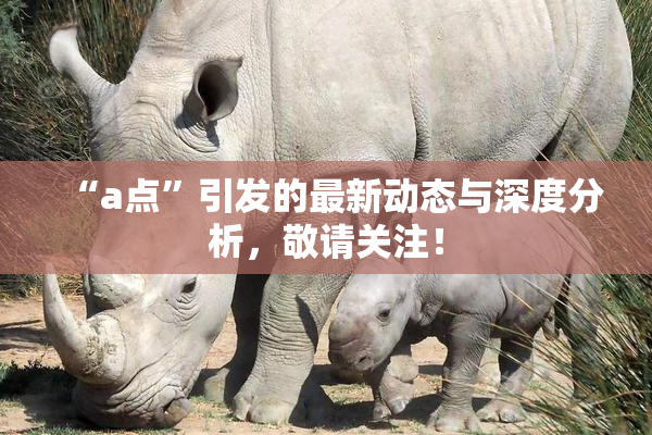“a点”引发的最新动态与深度分析，敬请关注！