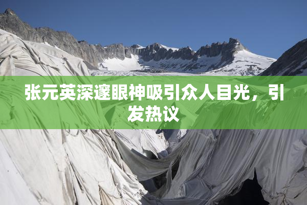 张元英深邃眼神吸引众人目光，引发热议