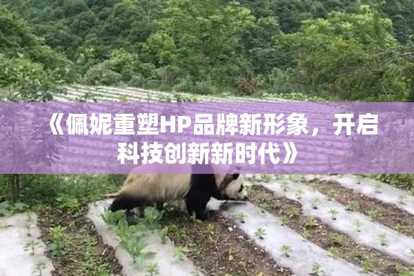 《佩妮重塑HP品牌新形象，开启科技创新新时代》