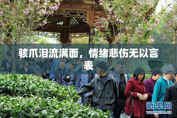 骇爪泪流满面，情绪悲伤无以言表