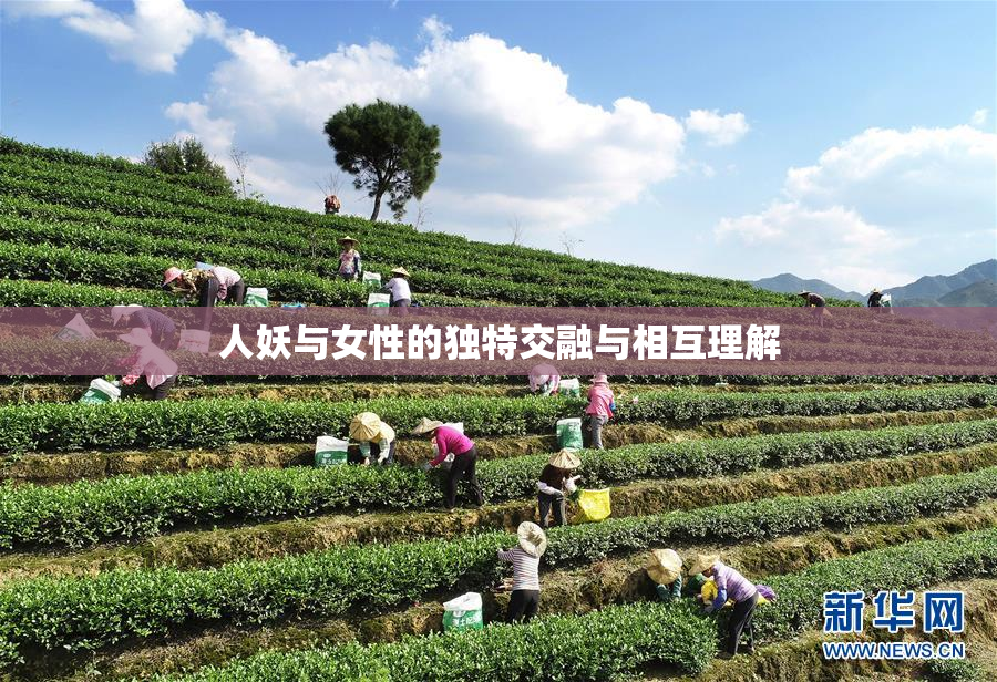 人妖与女性的独特交融与相互理解
