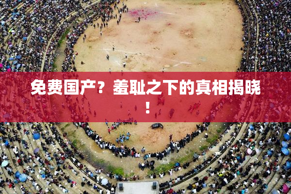 免费国产？羞耻之下的真相揭晓！