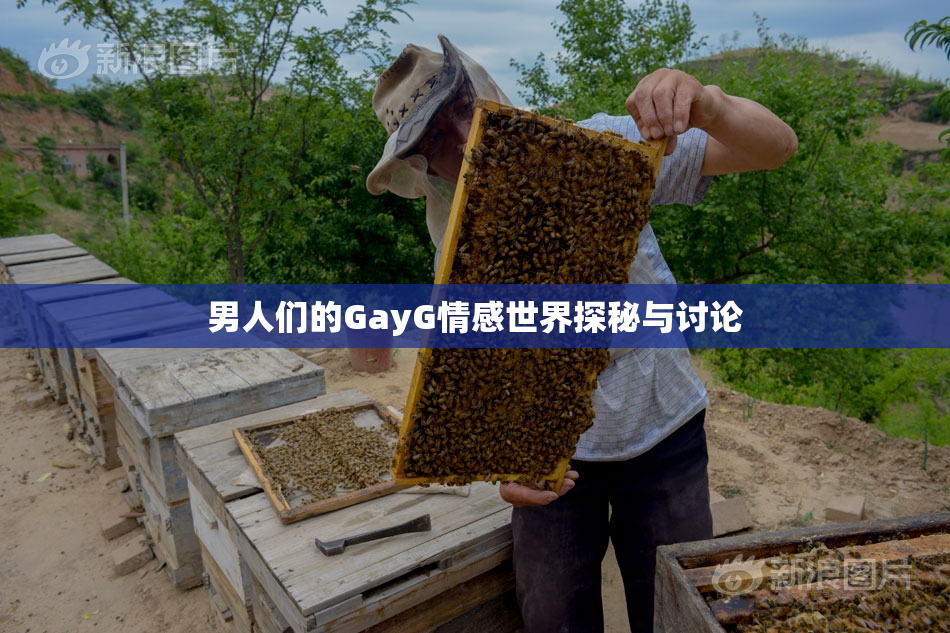 男人们的GayG情感世界探秘与讨论