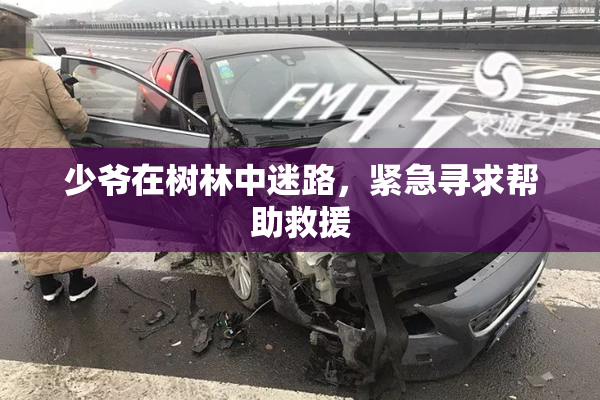 少爷在树林中迷路，紧急寻求帮助救援