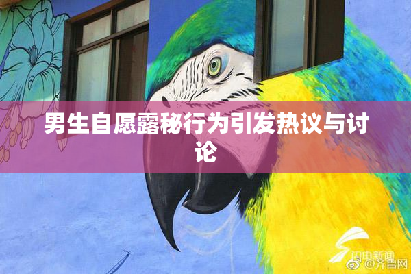 男生自愿露秘行为引发热议与讨论