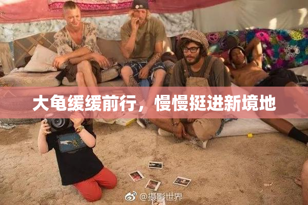 大龟缓缓前行，慢慢挺进新境地