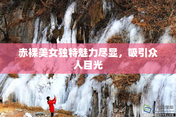 赤裸美女独特魅力尽显，吸引众人目光
