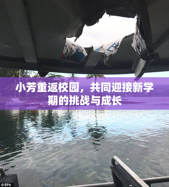 小芳重返校园，共同迎接新学期的挑战与成长