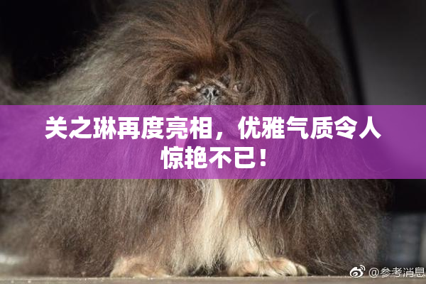 关之琳再度亮相，优雅气质令人惊艳不已！