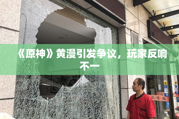 《原神》黄漫引发争议，玩家反响不一