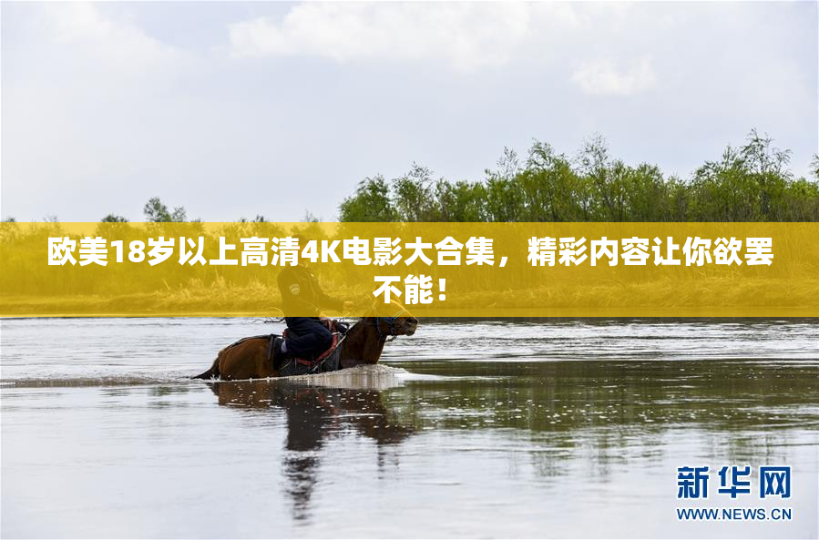 欧美18岁以上高清4K电影大合集，精彩内容让你欲罢不能！