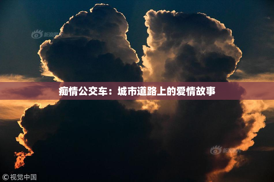 痴情公交车：城市道路上的爱情故事