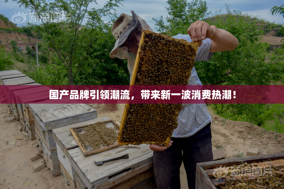 国产品牌引领潮流，带来新一波消费热潮！