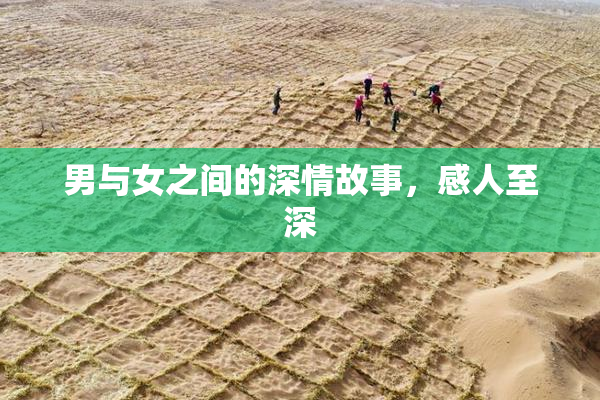 男与女之间的深情故事，感人至深