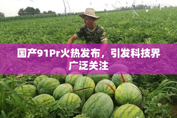 国产91Pr火热发布，引发科技界广泛关注