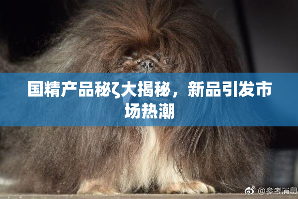 国精产品秘ζ大揭秘，新品引发市场热潮
