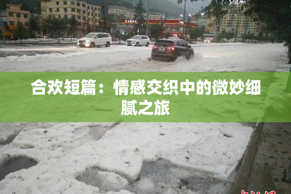 合欢短篇：情感交织中的微妙细腻之旅