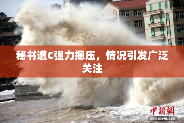 秘书遭C强力摁压，情况引发广泛关注