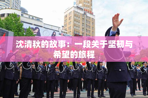 沈清秋的故事：一段关于坚韧与希望的旅程