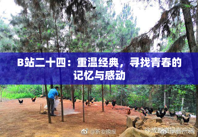 B站二十四：重温经典，寻找青春的记忆与感动