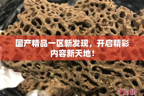 国产精品一区新发现，开启精彩内容新天地！