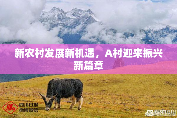 新农村发展新机遇，A村迎来振兴新篇章