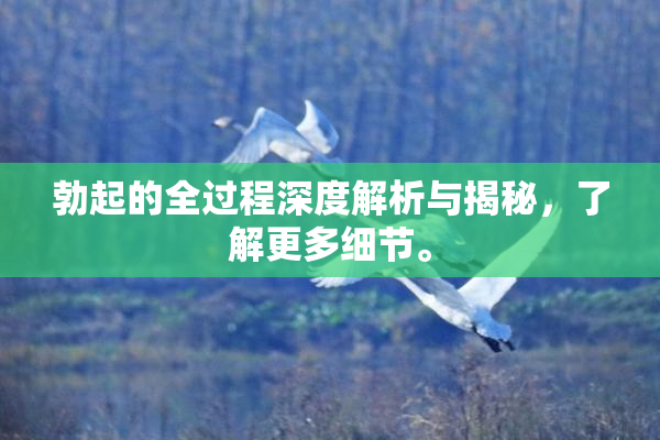 勃起的全过程深度解析与揭秘，了解更多细节。