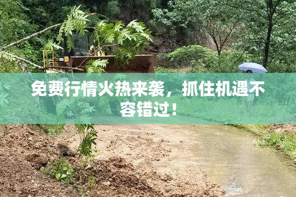 免费行情火热来袭，抓住机遇不容错过！