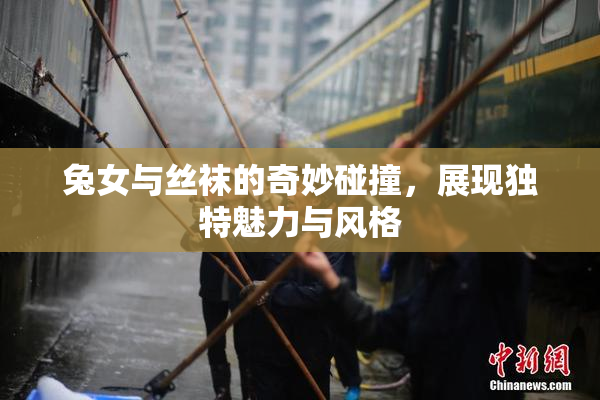 兔女与丝袜的奇妙碰撞，展现独特魅力与风格