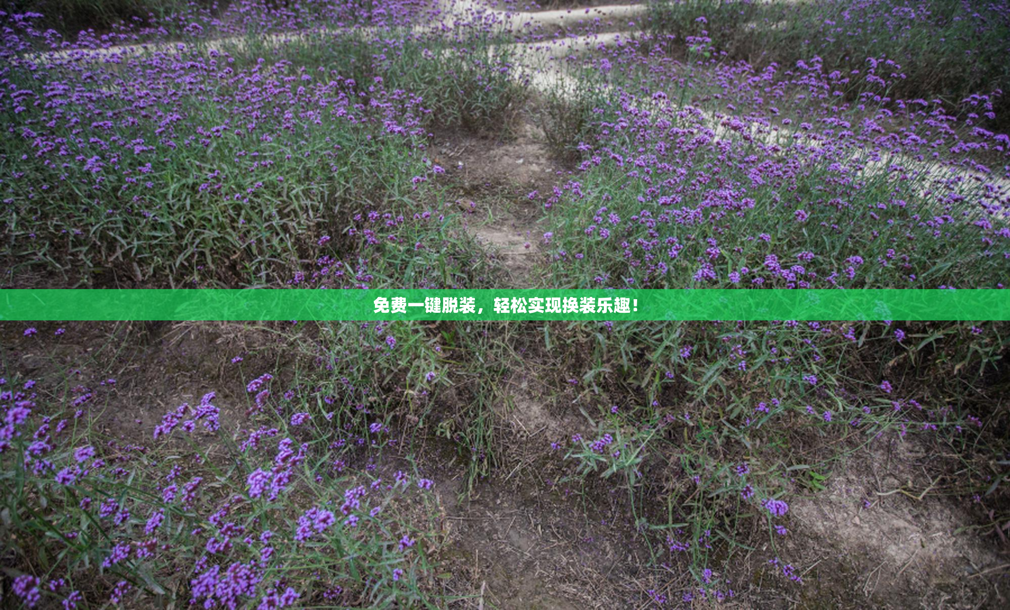 免费一键脱装，轻松实现换装乐趣！