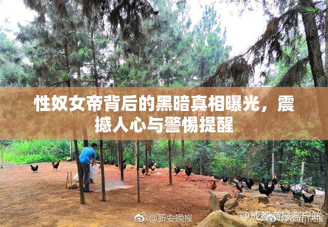 性奴女帝背后的黑暗真相曝光，震撼人心与警惕提醒