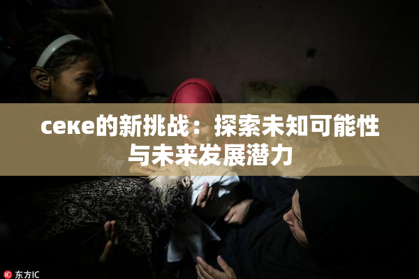 ceке的新挑战：探索未知可能性与未来发展潜力
