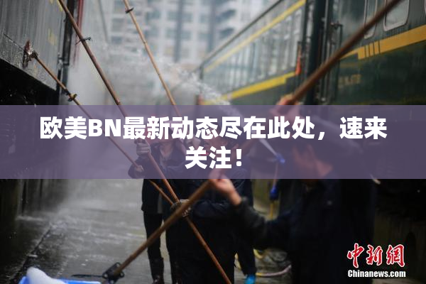 欧美BN最新动态尽在此处，速来关注！