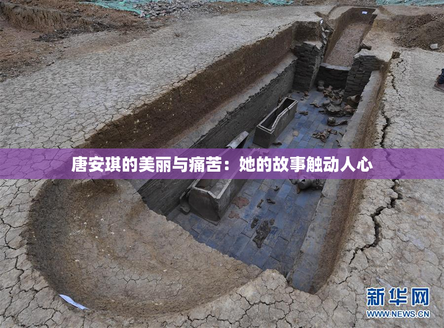 唐安琪的美丽与痛苦：她的故事触动人心