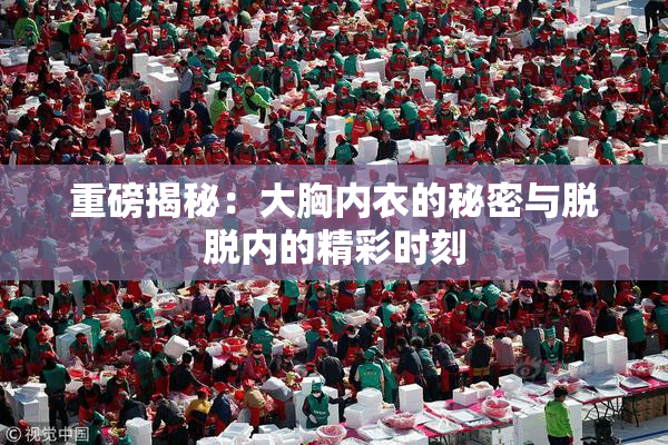 重磅揭秘：大胸内衣的秘密与脱脱内的精彩时刻