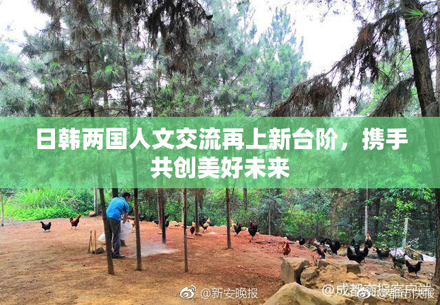 日韩两国人文交流再上新台阶，携手共创美好未来
