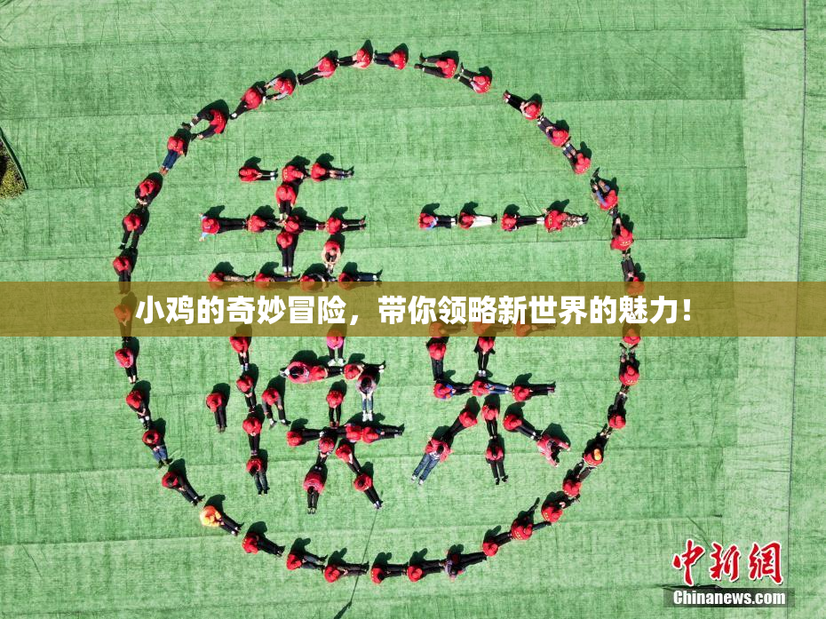 小鸡的奇妙冒险，带你领略新世界的魅力！