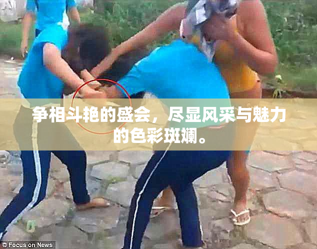 争相斗艳的盛会，尽显风采与魅力的色彩斑斓。