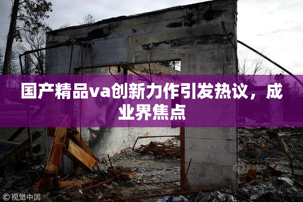 国产精品va创新力作引发热议，成业界焦点