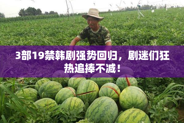 3部19禁韩剧强势回归，剧迷们狂热追捧不减！