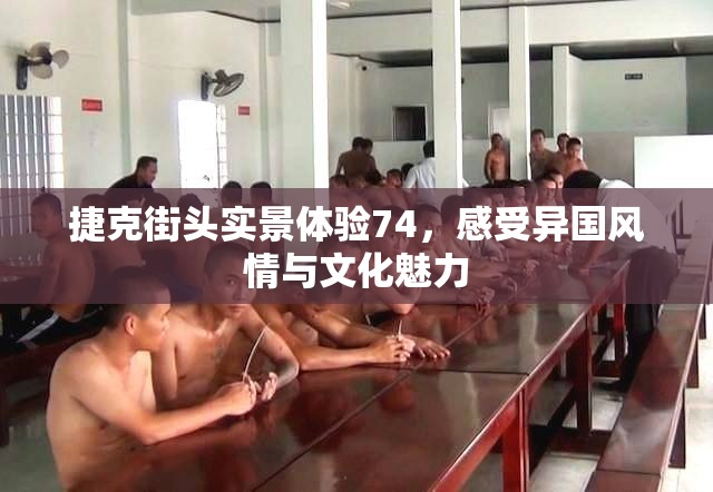 捷克街头实景体验74，感受异国风情与文化魅力